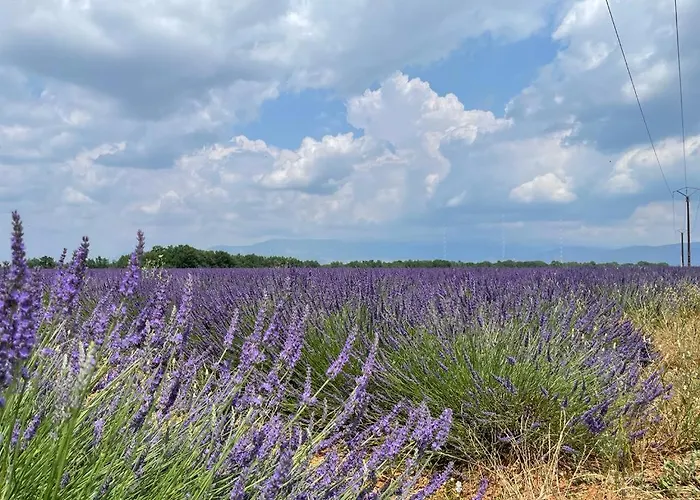 - Les Bains * Gréoux-les-Bains